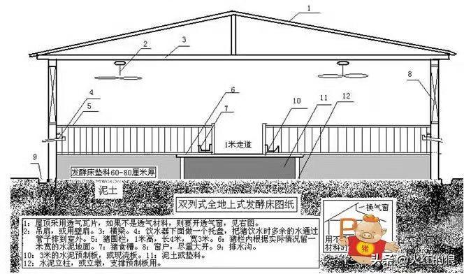 养殖狼_致富经养殖狼_养殖狼有什么经济效益