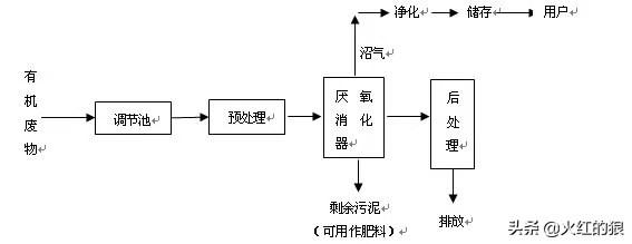 养殖狼有什么经济效益_致富经养殖狼_养殖狼