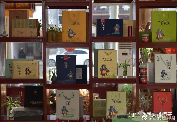 致富种植猕猴桃怎么样_种植猕猴桃前景怎么样_种植猕猴桃致富