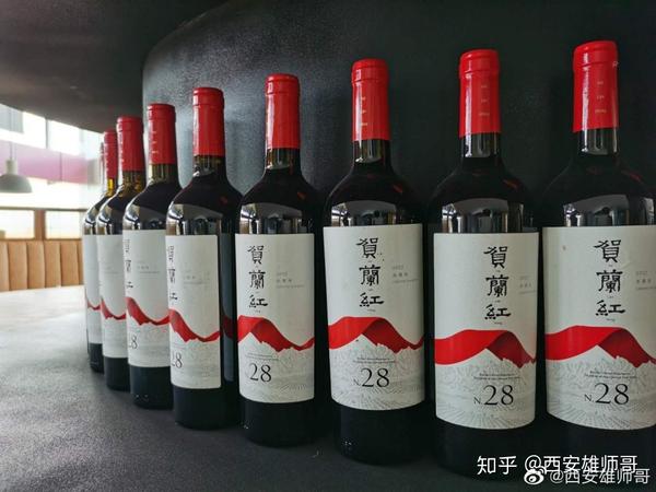 种植猕猴桃前景怎么样_种植猕猴桃致富_致富种植猕猴桃怎么样