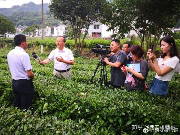致富种植猕猴桃怎么样_种植猕猴桃致富_种植猕猴桃前景怎么样