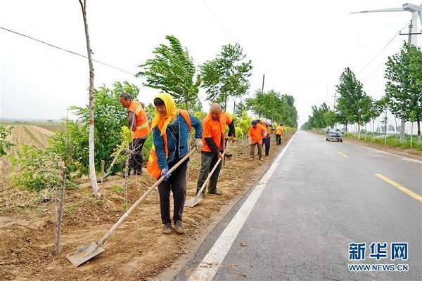 农村致富种植什么好_农村土货种植致富_农民种植致富