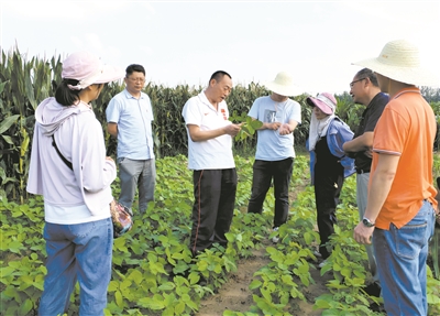 架起乡村振兴人才培养立交桥