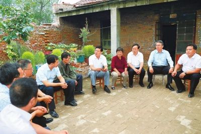 河南濮阳适合种植什么水果_河南濮阳种植致富_河南濮阳种植什么药材最好