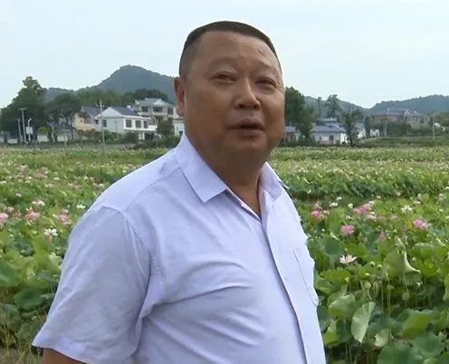 农村致富项目种植业_农民致富种植项目_农村种植致富地点