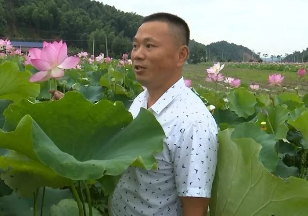 农村种植致富地点_农民致富种植项目_农村致富项目种植业