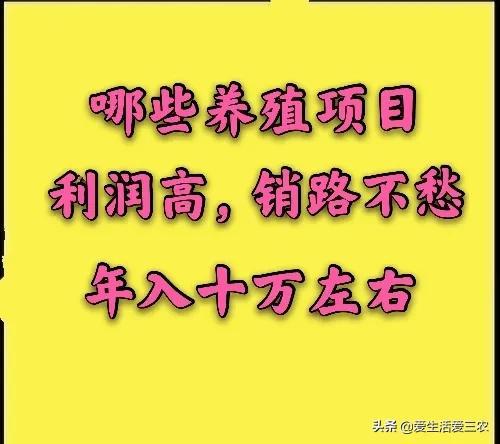 室内养植致富项目_室内致富养殖_致富养殖视频