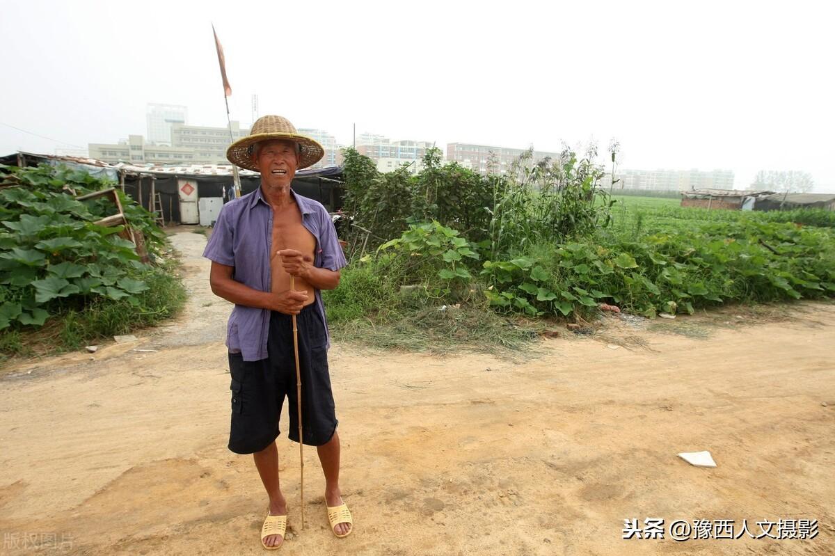 致富经养蝎子视频大全_致富经养蝎子的女人农广天地_中央7套致富经养蝎子