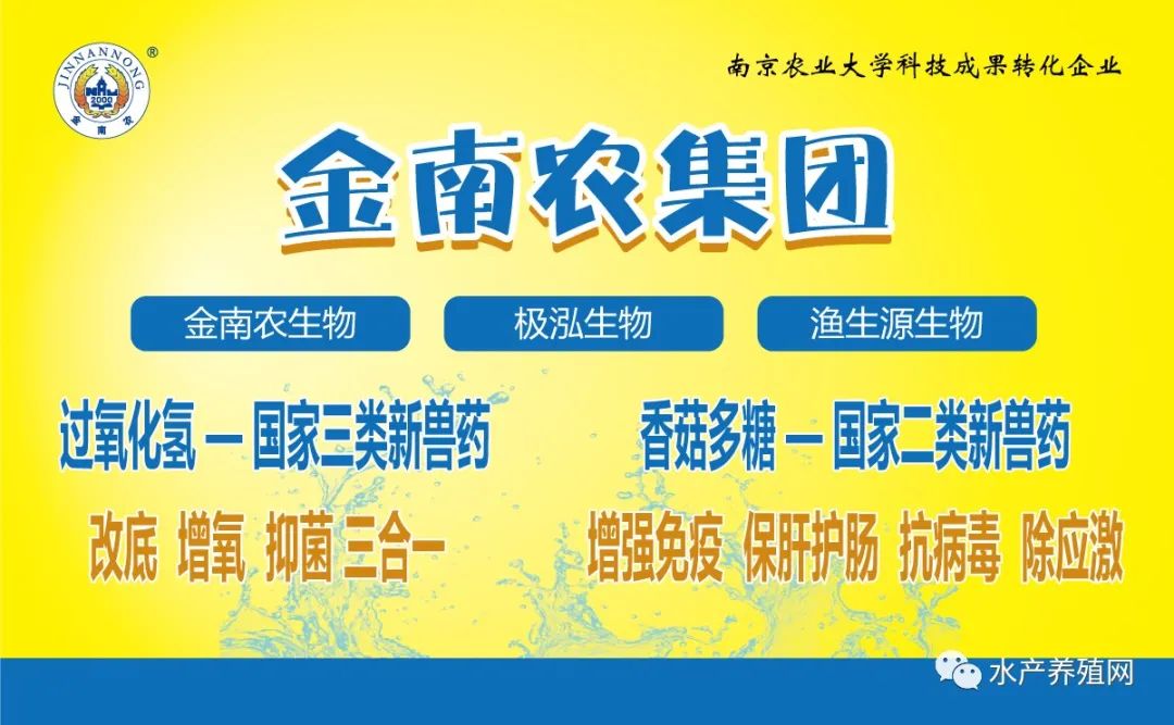 搭保温棚养殖鲳鱼技术_保温养殖大棚建造图片_鱼池保温棚