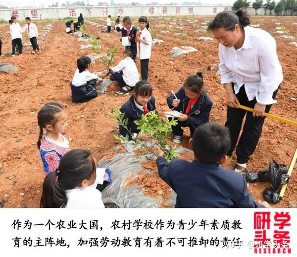 花生种植如何致富_花生种植赚钱吗_花生致富种植技术视频