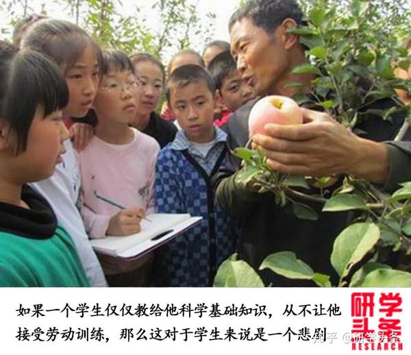 花生致富种植技术视频_花生种植赚钱吗_花生种植如何致富