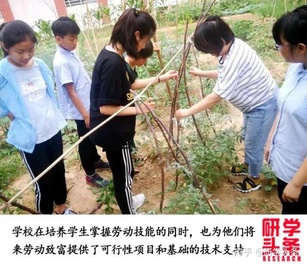 花生致富种植技术视频_花生种植如何致富_花生种植赚钱吗