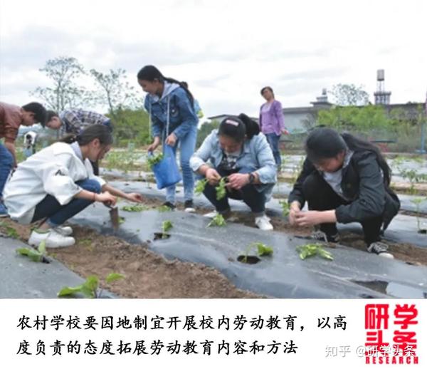 花生种植如何致富_花生种植赚钱吗_花生致富种植技术视频