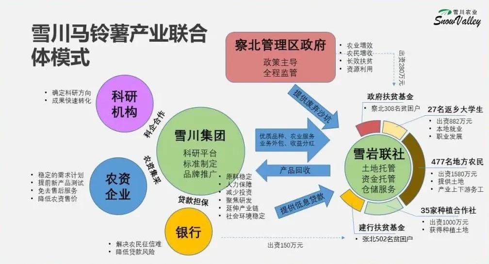 地里挖出“香饽饽”！雪川农业为农民兄弟“点土成金”