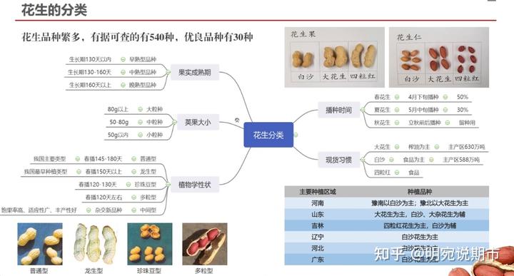 一、花生分类及种植生产情况