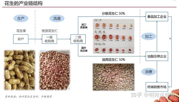 花生致富种植方法_花生种植效益_花生种植如何致富