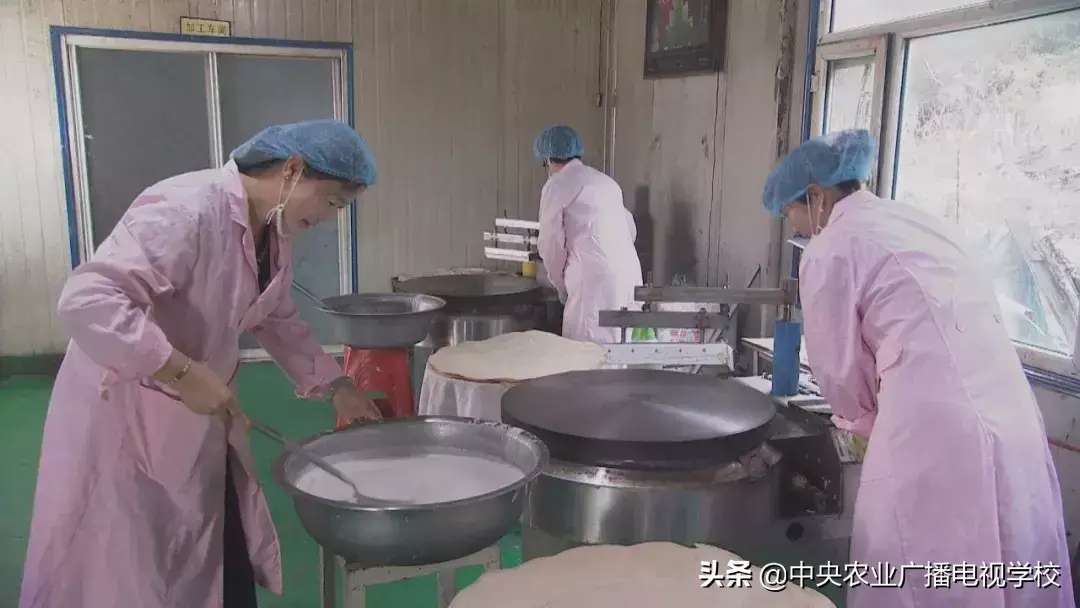 cctv煎饼致富_致富经视频煎饼致富_致富经农村 煎饼