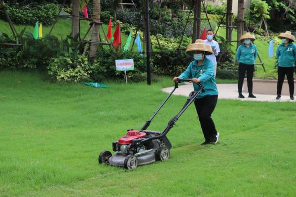 广东省农村种植项目_广东种植户资料_致富经广东省种植技术