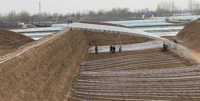 大棚冬季种植技术视频_冬季大棚_冬季大棚种植什么赚钱