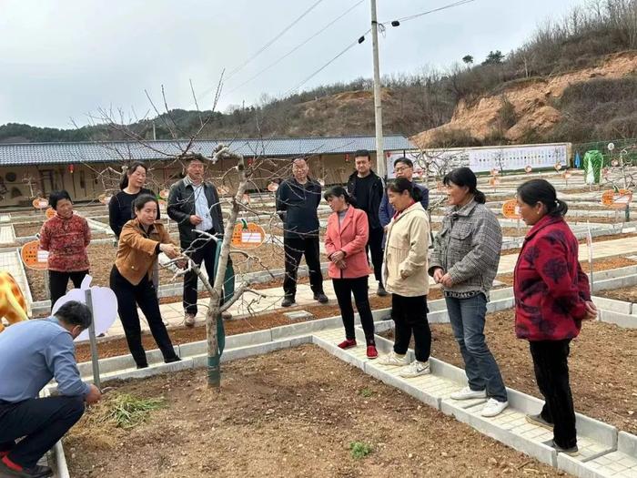 桃树种植技术视频_桃树种植技术视频大全_种桃树的视频