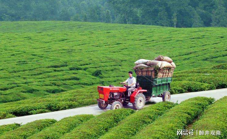 农村种植致富方向图片_致富种植农村方向图片高清_种植致富业