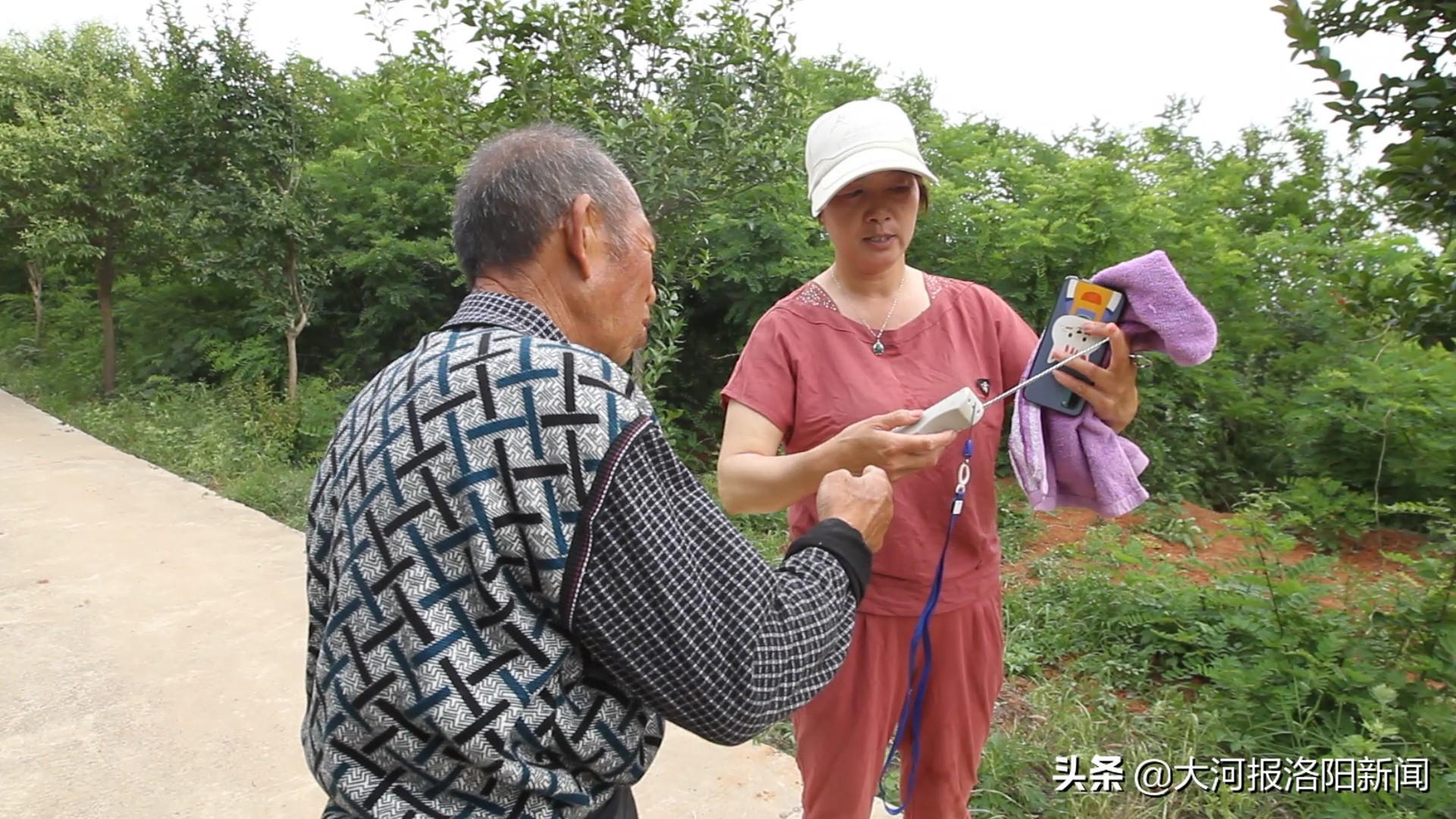 荒山种植致富方法_荒山种植什么来钱快_荒山种植什么前景好