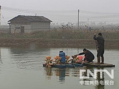 致富经张双其养鱼_2018年致富经全集养鱼视频_致富经养殖鱼视频