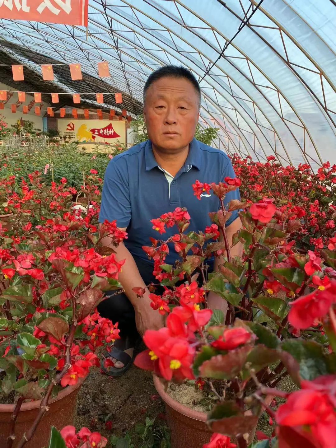 花卉红掌的养殖技术_花卉养殖红掌技术与管理_花卉养殖红掌技术要点