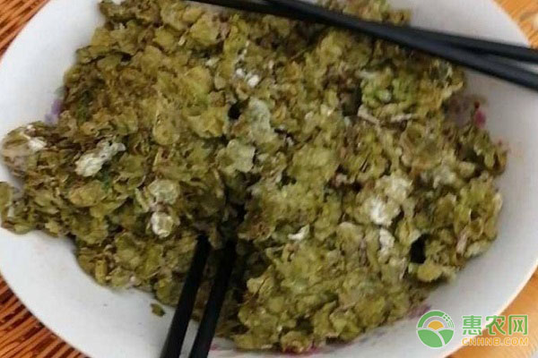 香葱亩产投资与回报_香葱致富经_致富经香葱种植视频