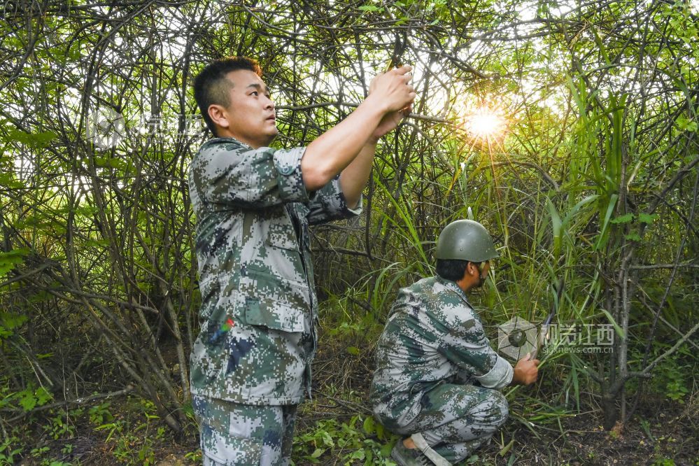 养虫开出致富花