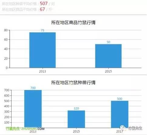 竹鼠养殖前景_喂竹鼠养殖技术_养殖技术竹鼠视频