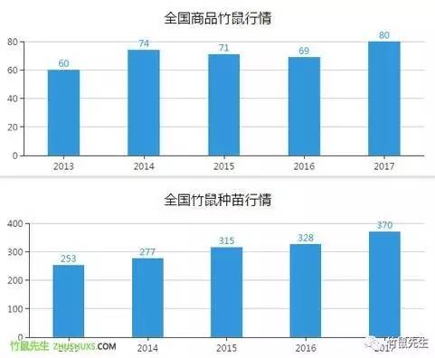 竹鼠养殖前景_喂竹鼠养殖技术_养殖技术竹鼠视频