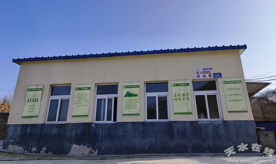 养猪视频致富经_致富经 猪养殖视频_致富经生态养殖猪视频