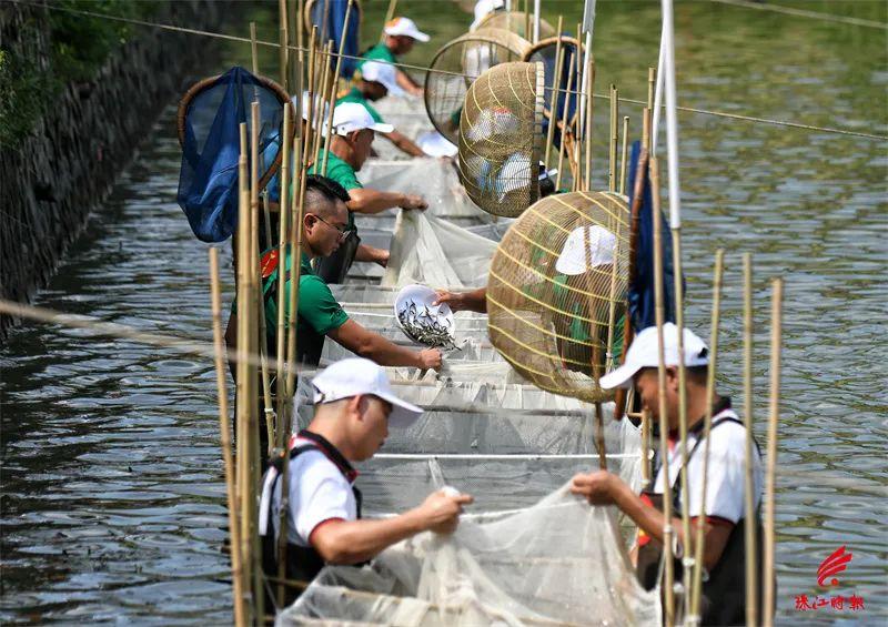 致富经河道养鱼视频_江河鱼养殖致富_致富经养殖鱼视频