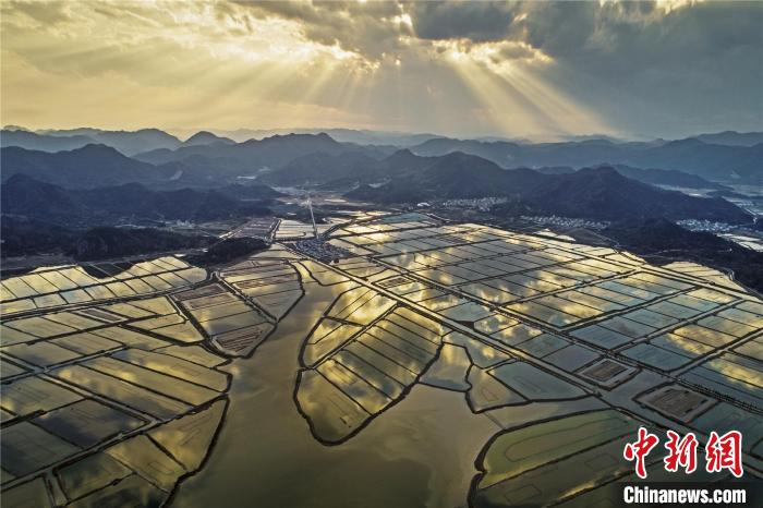 浙江三门青蟹养殖塘 俞红卫 摄