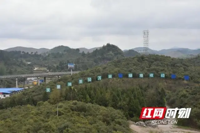 山茶树油价格_致富经油茶种植视频_致富经山油茶树