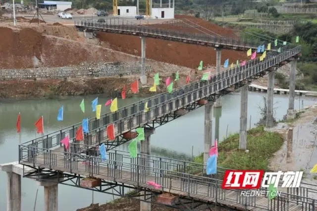 致富经油茶种植视频_山茶树油价格_致富经山油茶树