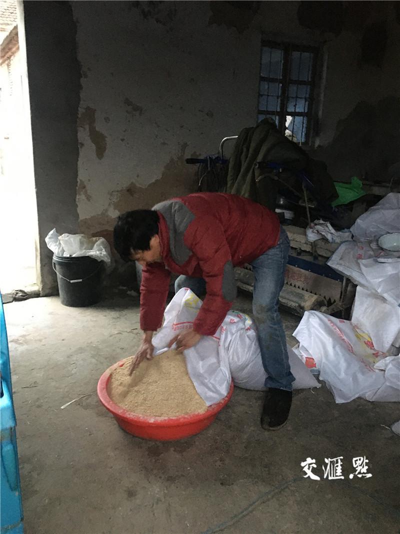 黑牛养殖视频致富经_视频致富养殖黑牛_视频致富养殖黑牛是真的吗