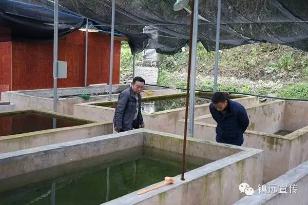 镇远县黄鳝泥鳅I号养殖基地开展养殖技术培训