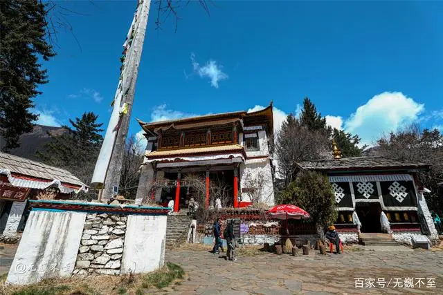 麻鸭养殖技术视频_麻鸭户外养殖技术和管理_露天养殖麻鸭技术