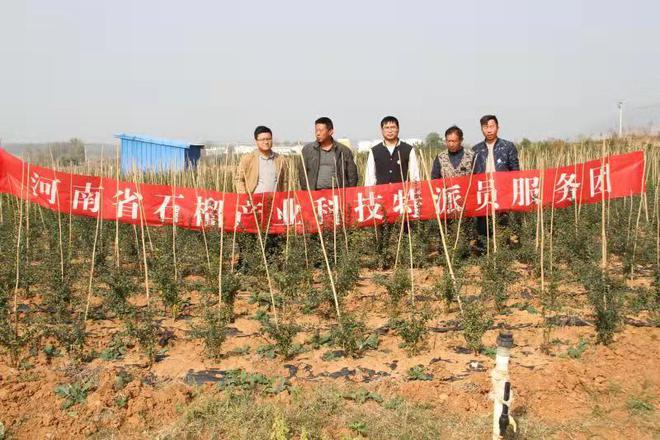 致富扶贫种植项目有哪些_扶贫种植有什么项目_扶贫种植致富项目