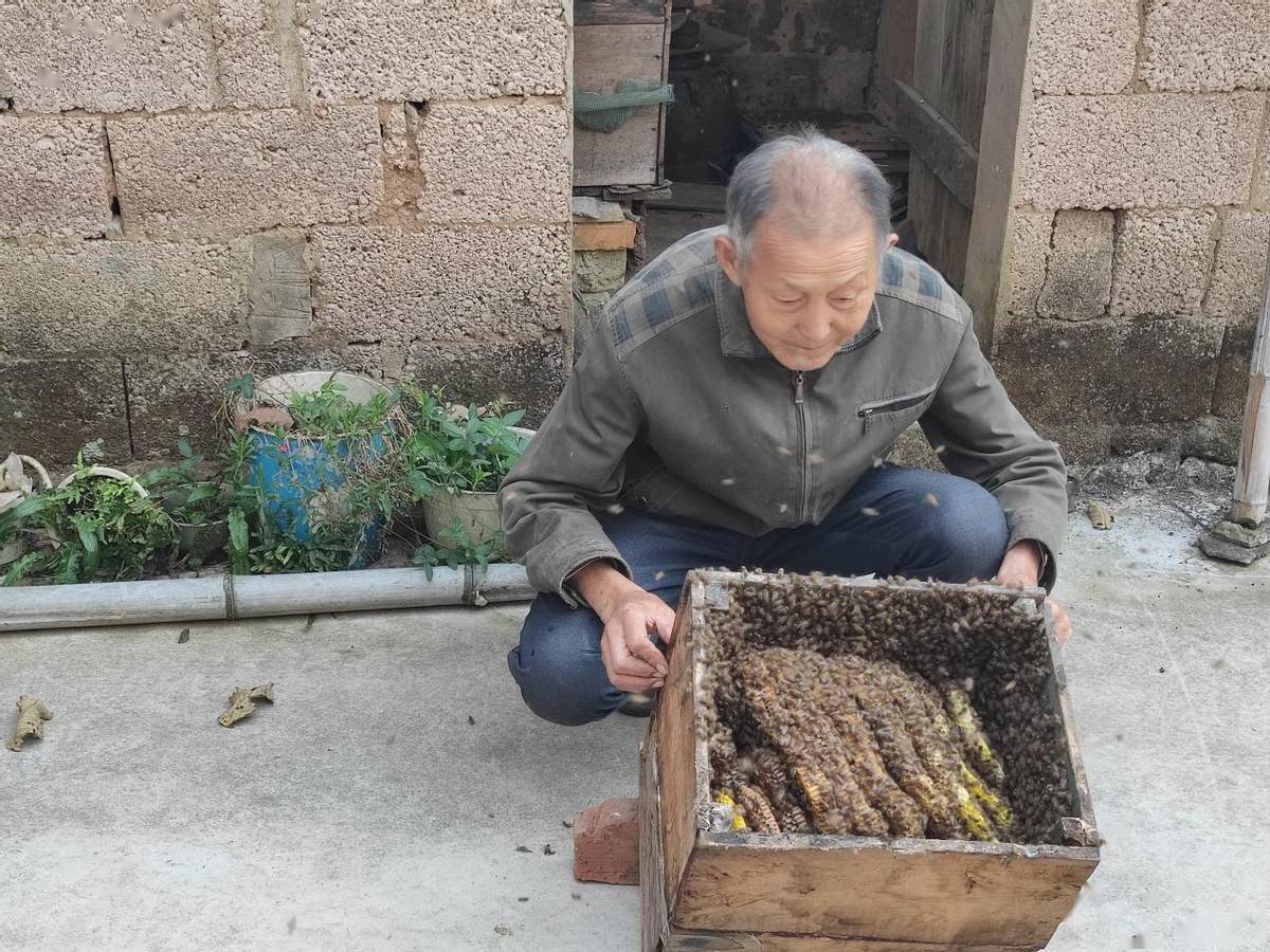 致富种植视频全集_特色种植致富密码_种植致富经