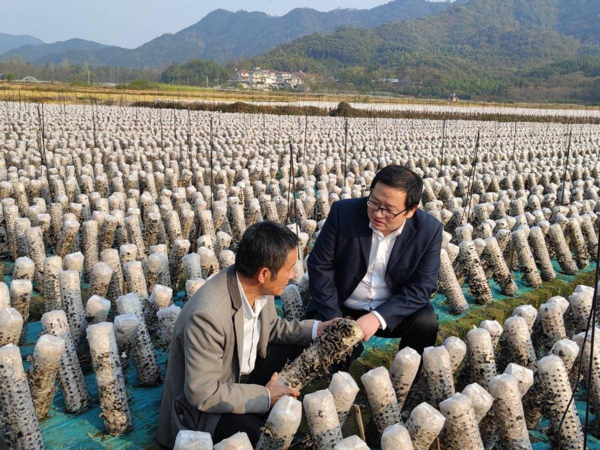 致富种植视频全集_种植致富经_特色种植致富密码