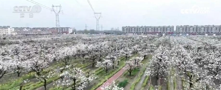 优质课经验交流_优质课个人经验材料写什么_优质课老师经验分享稿