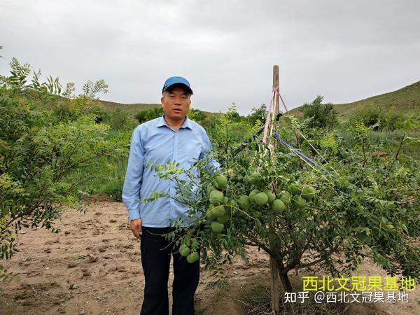 亚麻种植致富油_油用亚麻的种植方法_亚麻种植收益怎么样