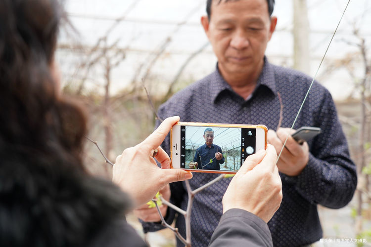 大棚种枣种植技术_枣树如何在大棚里生长_大棚枣树种植效益怎样