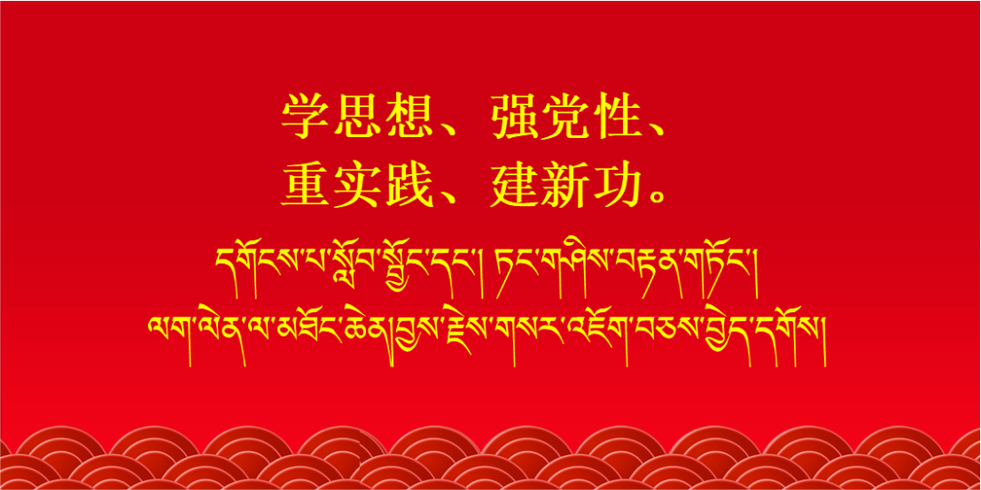 “不同混播组合模式牧草高产栽培技术转化示范”项目顺利通过验收