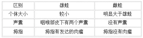 彩色青蛙的养殖技术_彩色青蛙的养殖技术_彩色青蛙的养殖技术