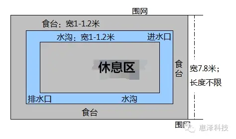 彩色青蛙的养殖技术_彩色青蛙的养殖技术_彩色青蛙的养殖技术