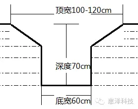 彩色青蛙的养殖技术_彩色青蛙的养殖技术_彩色青蛙的养殖技术